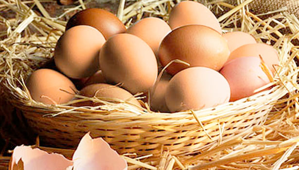 Huevos en Asturias siempre frescos